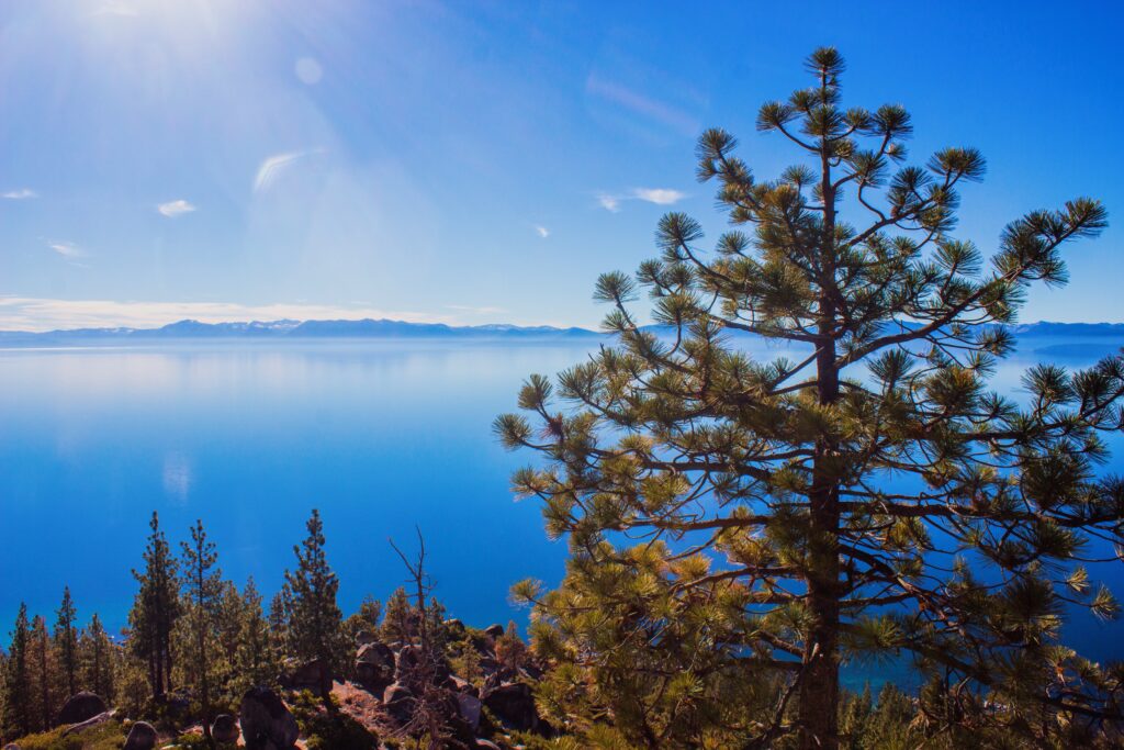21 Breathtaking Lake Tahoe Hiking Trails