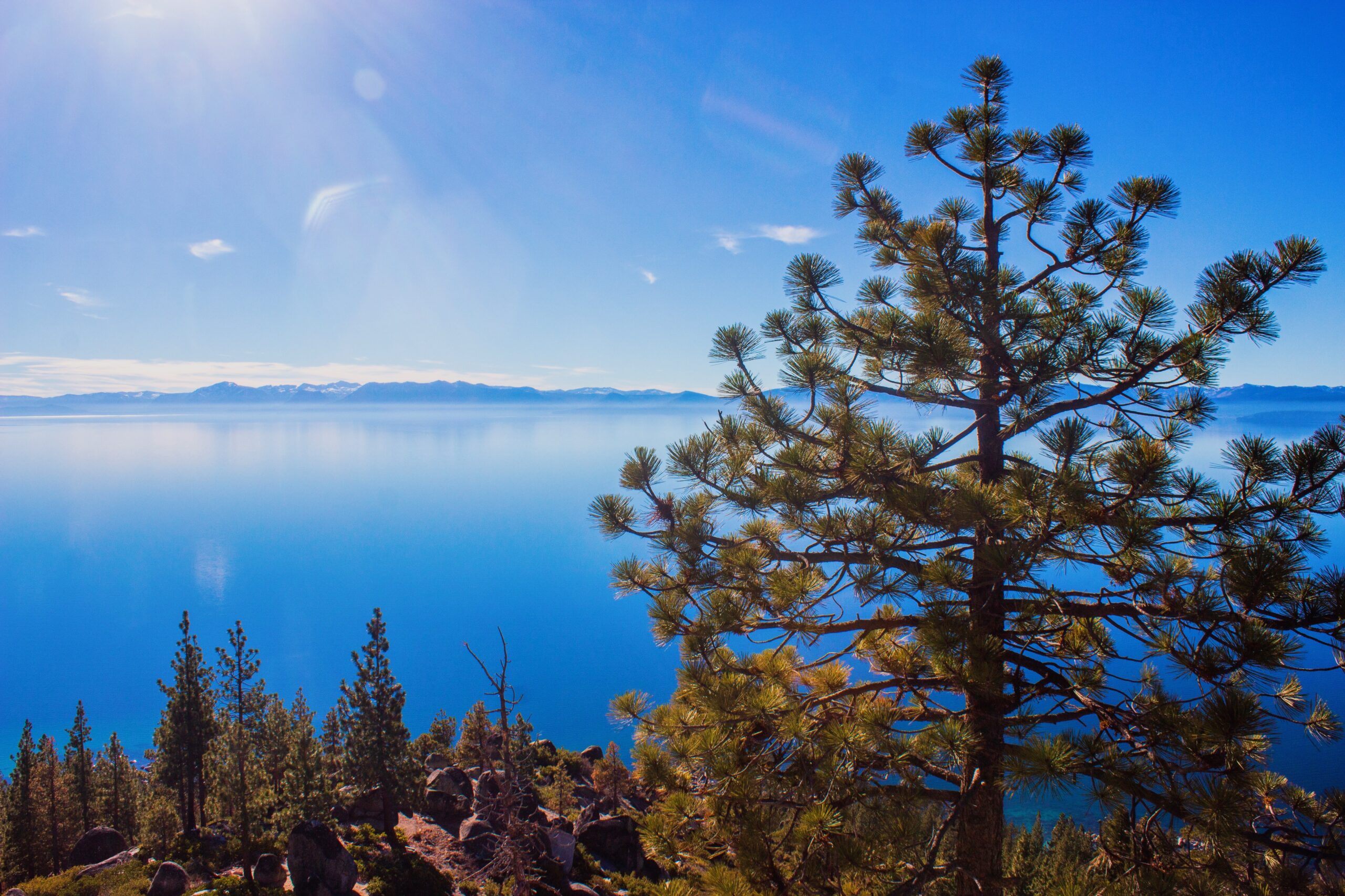 21 Breathtaking Lake Tahoe Hiking Trails