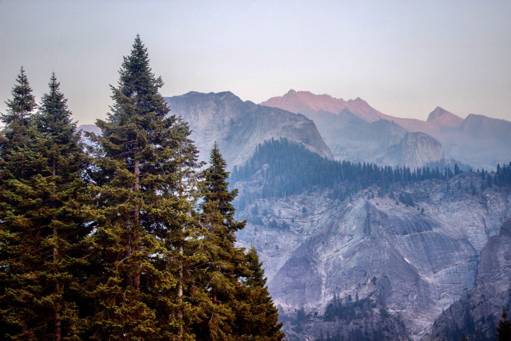 road trip to sequoia national park
