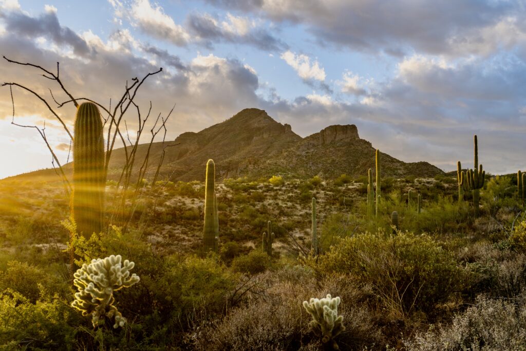 Best weekend trips from Phoenix, Arizona
