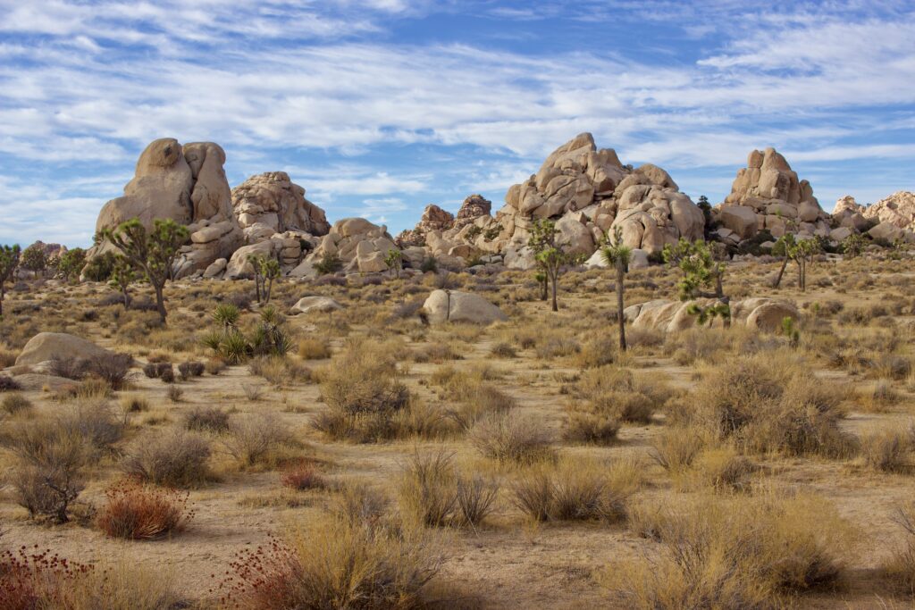 Boulders in Joshua Tree National Park from Los Angeles